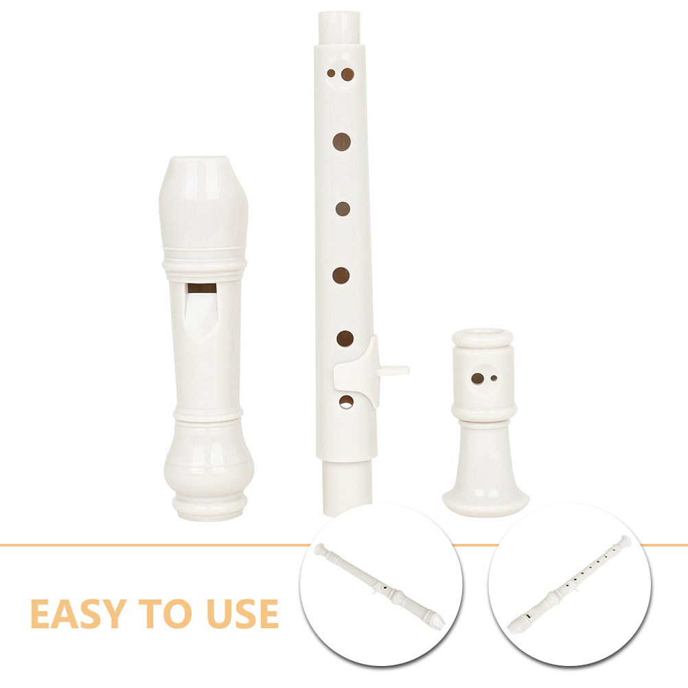 1Set 8-Hole Clarinet for Begin - Soprano Recorder Plastic 评论和价格