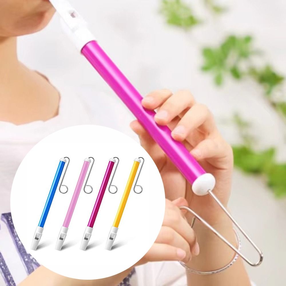 Classic Slide Whistle Funny AB - Musical Instrument Harmonium 评论和价格